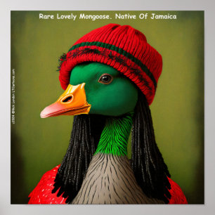 Poster Hilariican Mongoose Reggae Goose