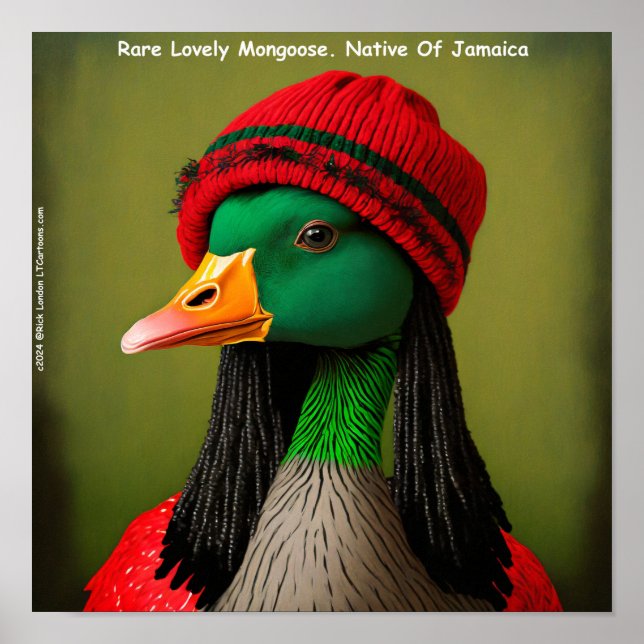 Poster Hilariican Mongoose Reggae Goose (Frente)