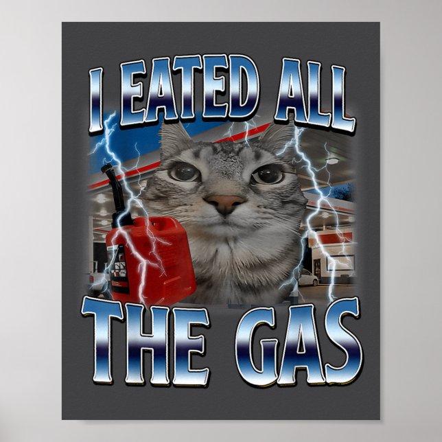 Poster Hilarious Cat Eated Lover Cat Gas I All Silly Sayi (Frente)