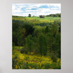 Pôster Hilltop House