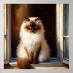 Poster Himalayan Cat