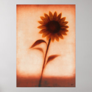 Poster Himawari Girassol Abstração Floral Japonesa