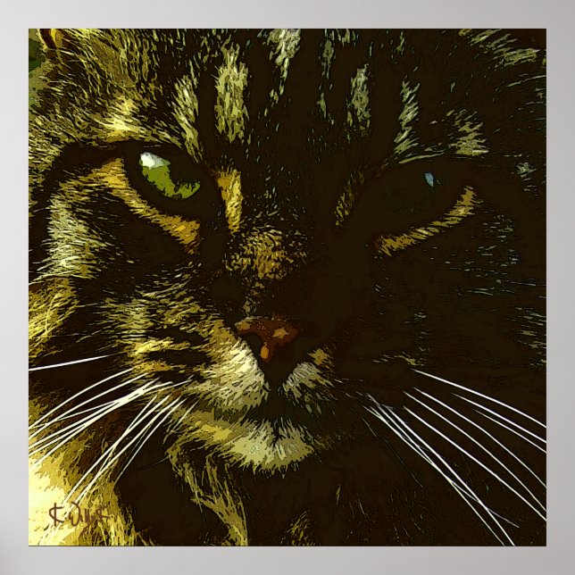 Poster Hipnotizando a Hipnose da Arte Digital do Gato (Frente)