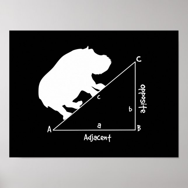 Pôster Hipotenusa (Frente)