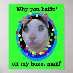 Pôster Hippie Psychedelic Rainbow Buzz Cat