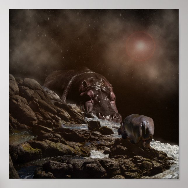 Poster Hippo Encantando Noite, (Frente)