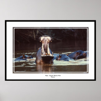 Pôster Hippo - Serentgeti