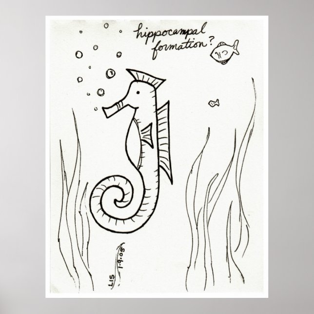 Poster Hippocampal Formation print (Frente)