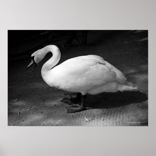 Poster HiSS (Frente)