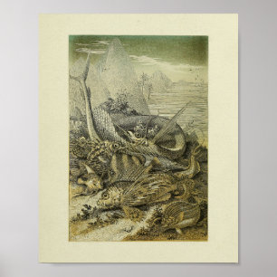 Poster História Natural Vintage Peixe Ilustração Art P