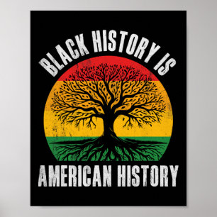 Poster História Negra É História Americana Bhm Raiz Afric