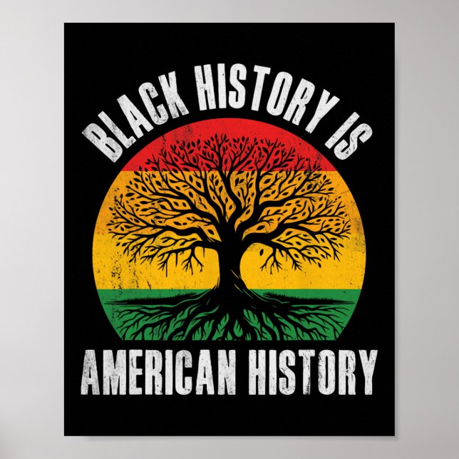 Poster História Negra É História Americana Bhm Raiz Afric (Frente)