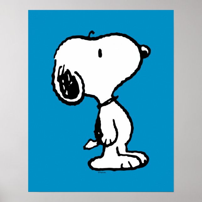 Poster Histórias em quadrinhos Clássicas do Snoopy (Frente)