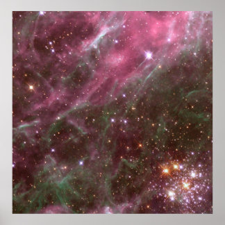 Pôster Hodge 301, Nebulosa de Tarantula