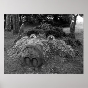 Pôster Hoge Head, Bute Park, Cardiff