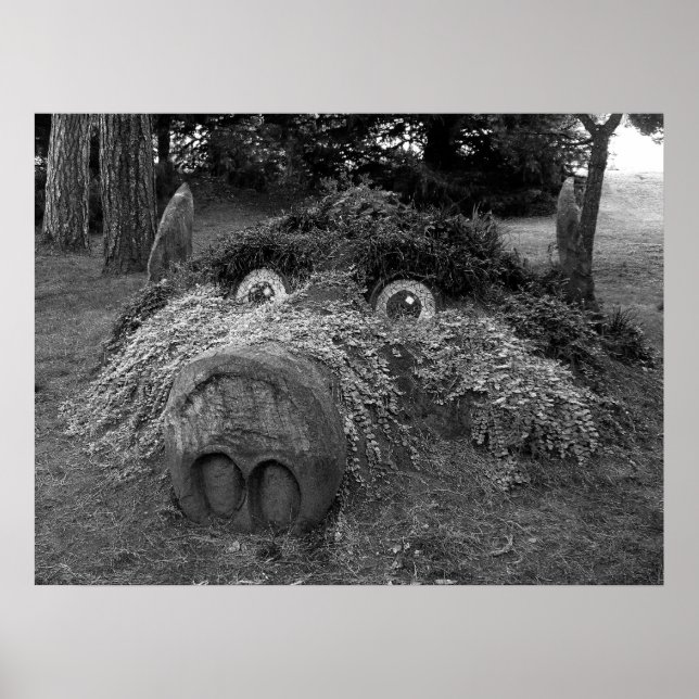 Pôster Hoge Head, Bute Park, Cardiff (Frente)