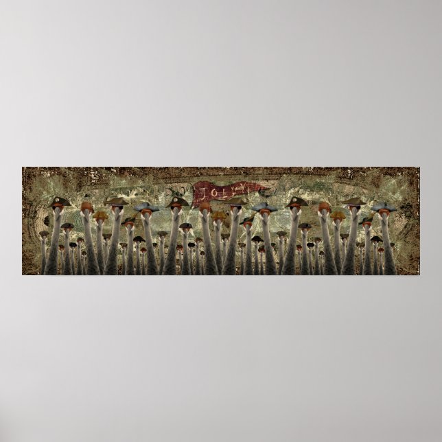 Pôster Hoist The Jolly (Frente)