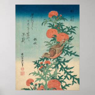 Pôster Hokusai Shrike e a galeria de palitosHD