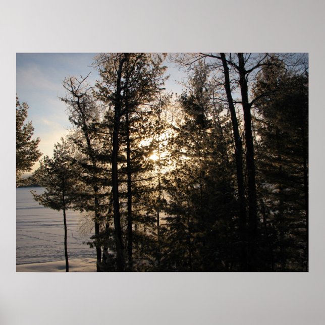 Pôster Holanda do inverno de 2008 (Frente)