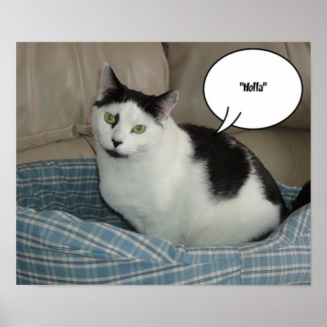 Poster Holla! (Frente)