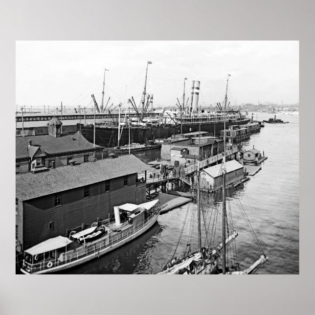 Pôster Holland America Line (Frente)