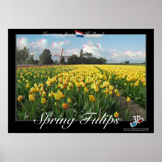 Pôster Holland Primavera Tulips Paisagem 3D Anaglyph Post (Frente)