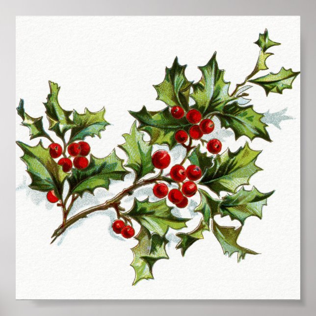 Poster HollyBerries20150801 (Frente)