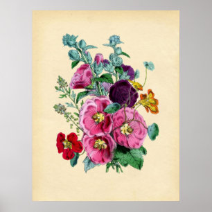 Poster Hollyhocks Botânicos Vintage