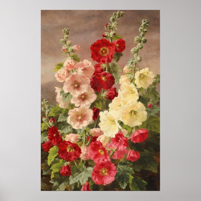 Poster Hollyhocks vermelhos, brancos e rosados, Christens (Frente)