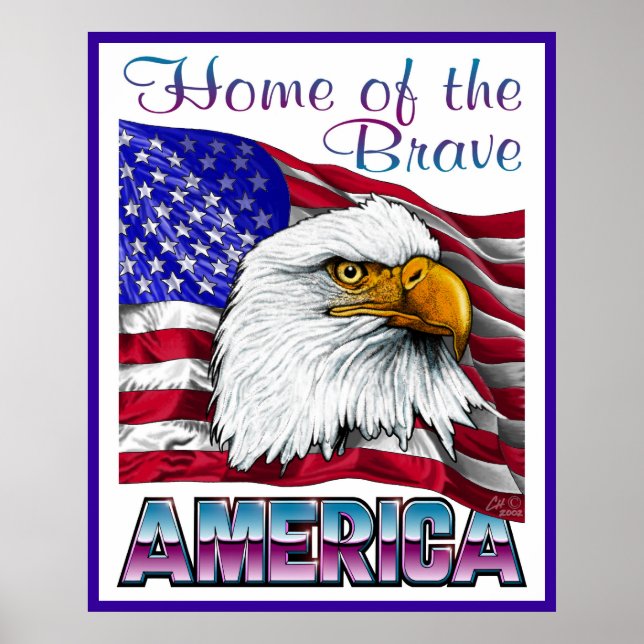 Pôster Home of the Brave (Frente)