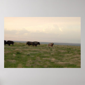 Pôster "Home On The Range-Western Kansas"