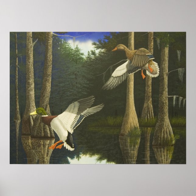 Pôster Home seguro (Frente)