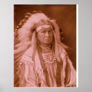 Pôster Homem Branco o governa - Coroa