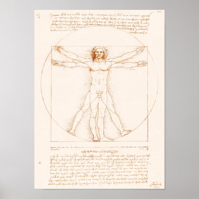 Poster Homem Vitruviano | Leonardo da Vinci | (Frente)
