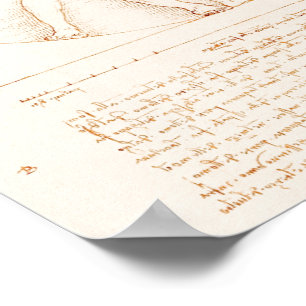 Poster Homem Vitruviano Leonardo da Vinci