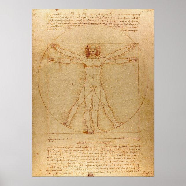 Pôster Homem Vitruviano por Leonardo da Vinci (Frente)