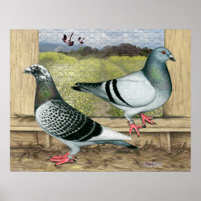 Poster Homers de Corrida em Loft (Frente)