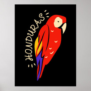 Poster Honduras Parrot