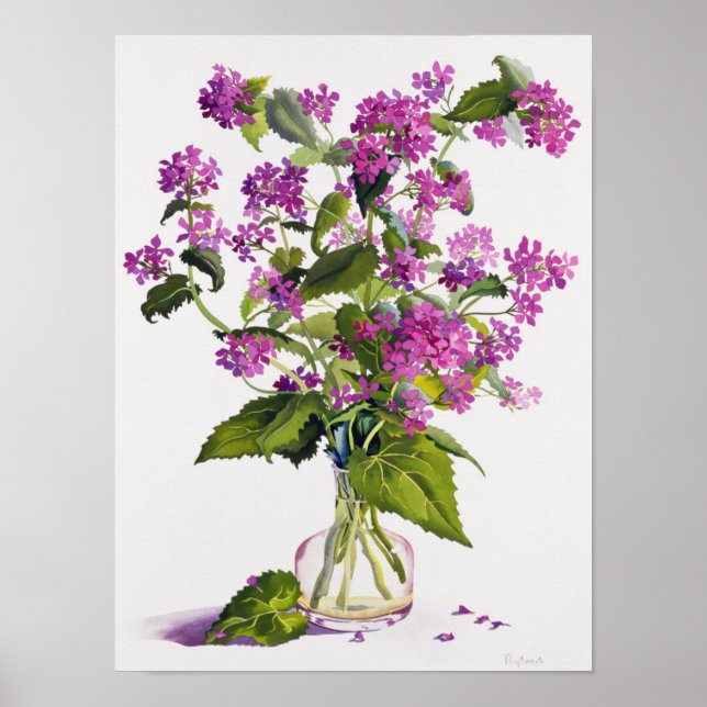 Pôster Honestidade (Frente)