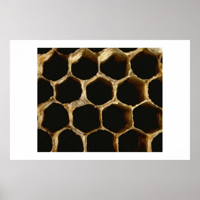 Poster Honeycomb (Frente)