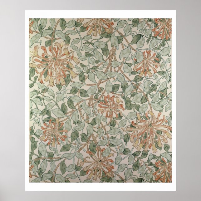 Pôster 'Honeysuckle II' design (Frente)