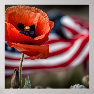 Poster Honra aqueles que deram tudo