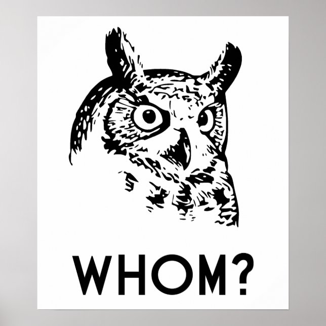 Pôster Hoo Who Grammar Owl (Frente)