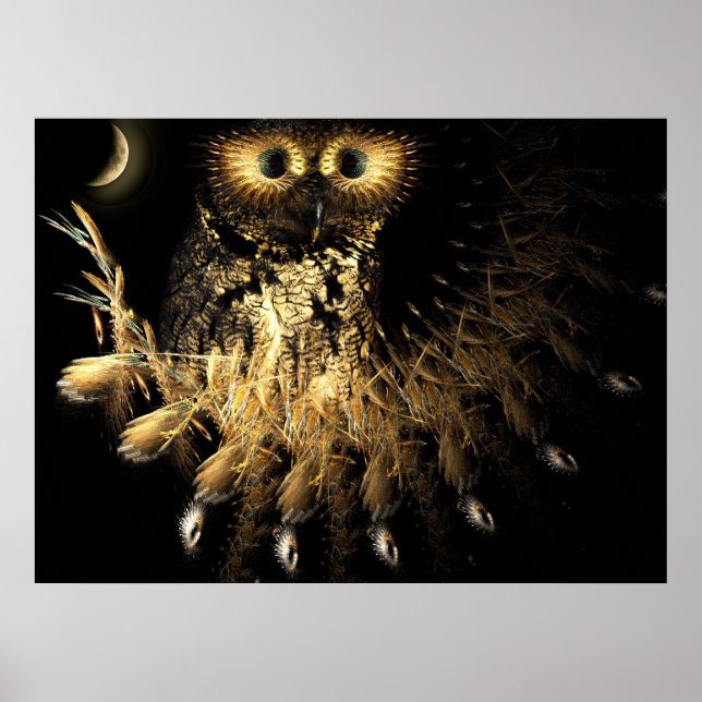 Poster Hootie Owls Nest (Frente)