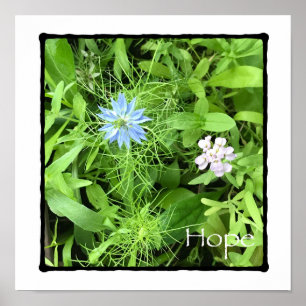 Poster Hope Square