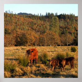 Poster Hora da Família........