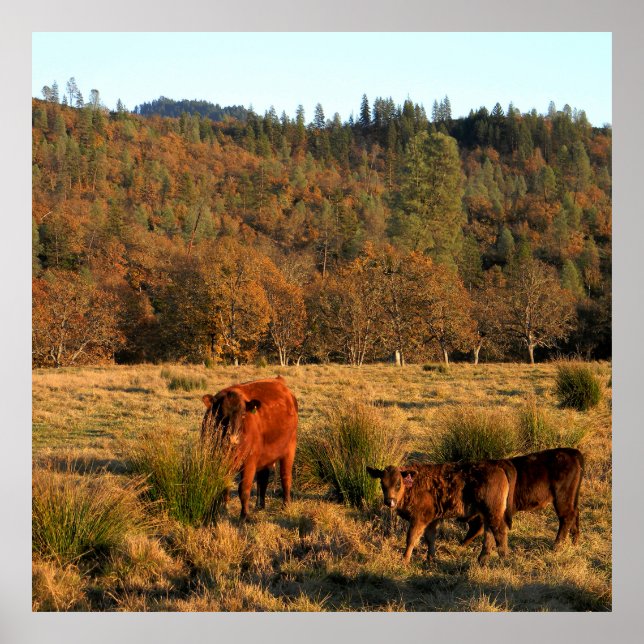 Poster Hora da Família........ (Frente)