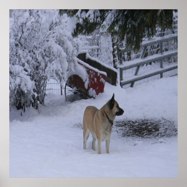 Poster Hora de inverno.... (Frente)
