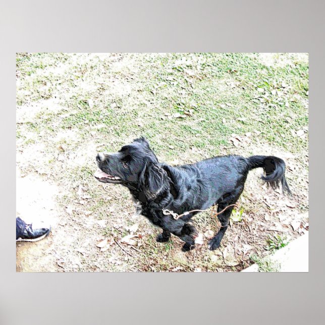 Poster Hora de Levar o Cachorro para Caminar (Frente)