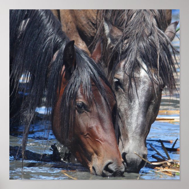 Poster Hora feliz (Frente)